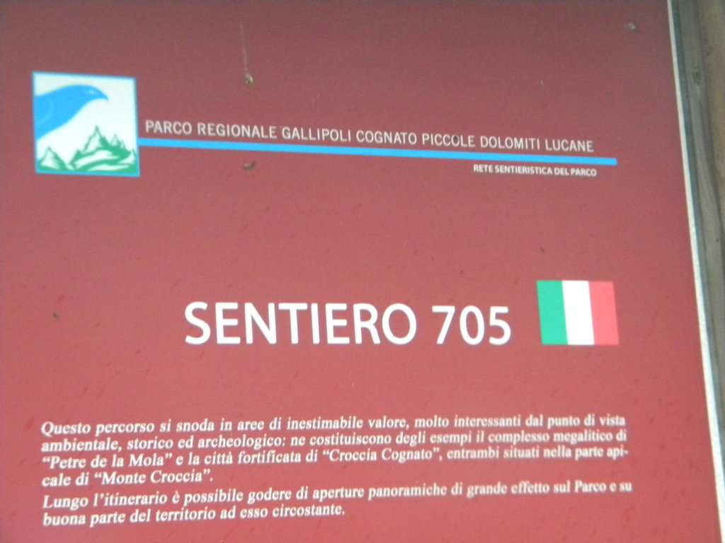 DSCN2695 .JPG